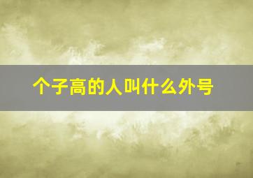 个子高的人叫什么外号