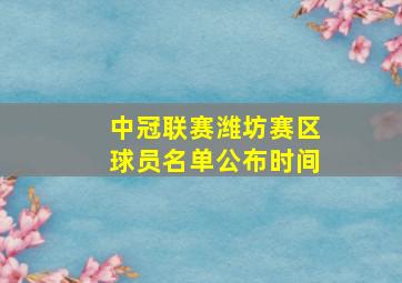 中冠联赛潍坊赛区球员名单公布时间