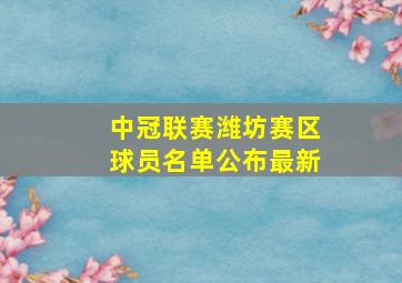 中冠联赛潍坊赛区球员名单公布最新