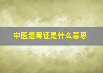 中医湿毒证是什么意思