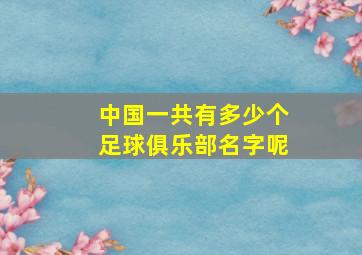 中国一共有多少个足球俱乐部名字呢