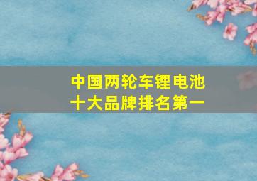 中国两轮车锂电池十大品牌排名第一