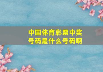 中国体育彩票中奖号码是什么号码啊