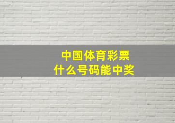 中国体育彩票什么号码能中奖