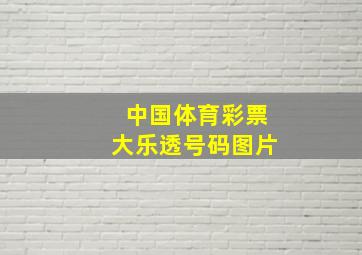 中国体育彩票大乐透号码图片