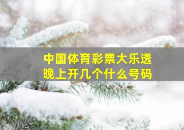 中国体育彩票大乐透晚上开几个什么号码