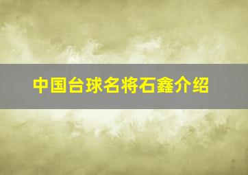 中国台球名将石鑫介绍