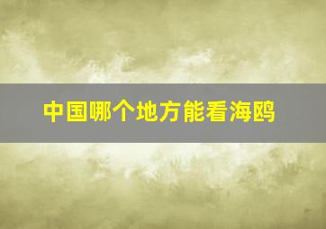 中国哪个地方能看海鸥