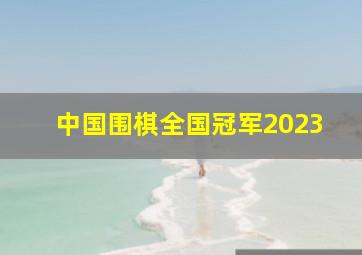 中国围棋全国冠军2023