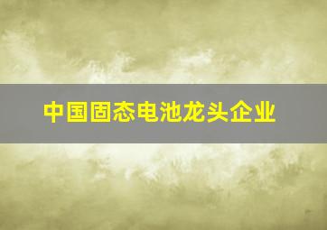 中国固态电池龙头企业