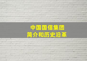 中国国信集团简介和历史沿革