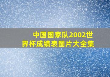 中国国家队2002世界杯成绩表图片大全集