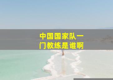 中国国家队一门教练是谁啊