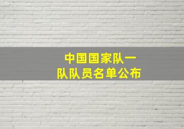 中国国家队一队队员名单公布