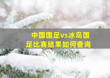 中国国足vs冰岛国足比赛结果如何查询