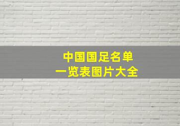 中国国足名单一览表图片大全