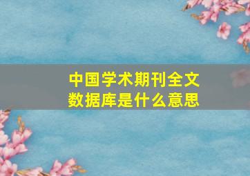 中国学术期刊全文数据库是什么意思