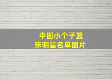 中国小个子篮球明星名单图片