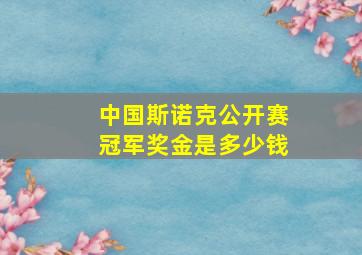 中国斯诺克公开赛冠军奖金是多少钱