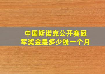 中国斯诺克公开赛冠军奖金是多少钱一个月