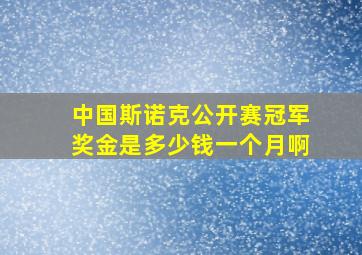 中国斯诺克公开赛冠军奖金是多少钱一个月啊