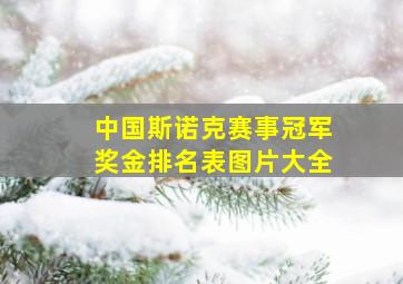 中国斯诺克赛事冠军奖金排名表图片大全