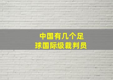 中国有几个足球国际级裁判员