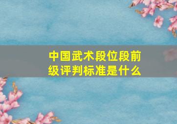 中国武术段位段前级评判标准是什么