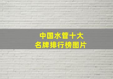 中国水管十大名牌排行榜图片