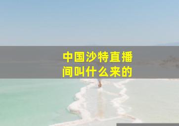 中国沙特直播间叫什么来的