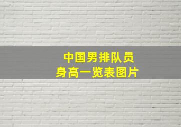 中国男排队员身高一览表图片