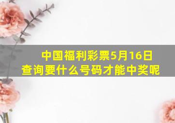 中国福利彩票5月16日查询要什么号码才能中奖呢