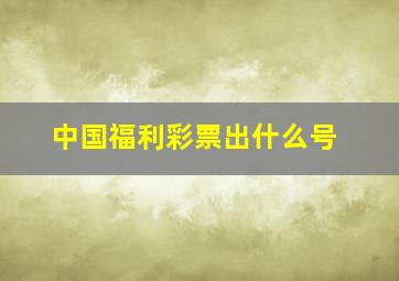 中国福利彩票出什么号