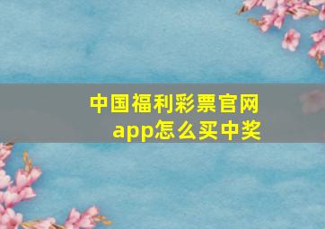 中国福利彩票官网app怎么买中奖