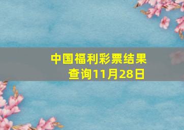 中国福利彩票结果查询11月28日