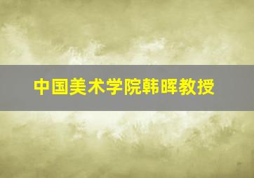 中国美术学院韩晖教授