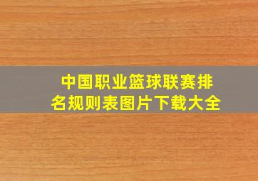 中国职业篮球联赛排名规则表图片下载大全