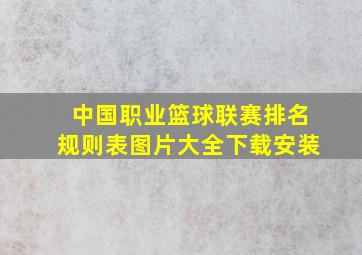 中国职业篮球联赛排名规则表图片大全下载安装