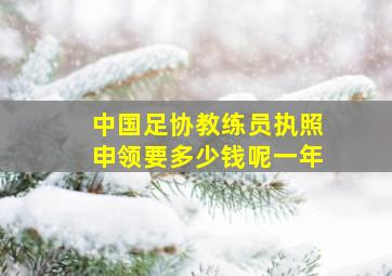 中国足协教练员执照申领要多少钱呢一年