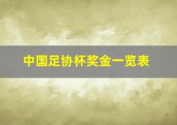 中国足协杯奖金一览表