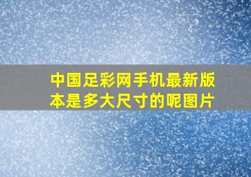 中国足彩网手机最新版本是多大尺寸的呢图片