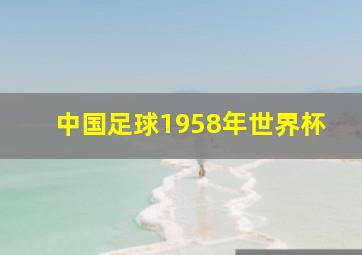 中国足球1958年世界杯