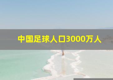 中国足球人口3000万人