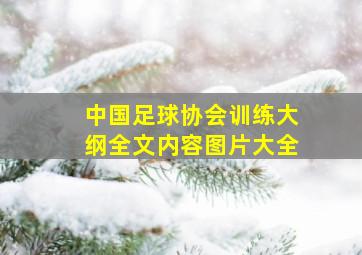 中国足球协会训练大纲全文内容图片大全