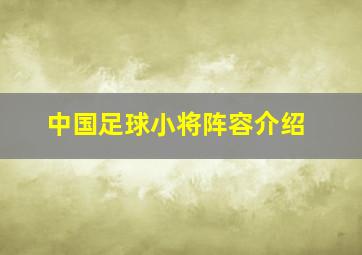 中国足球小将阵容介绍