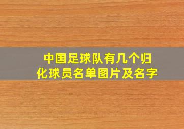 中国足球队有几个归化球员名单图片及名字