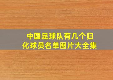 中国足球队有几个归化球员名单图片大全集