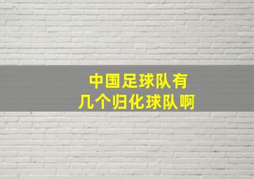 中国足球队有几个归化球队啊