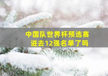 中国队世界杯预选赛进去12强名单了吗