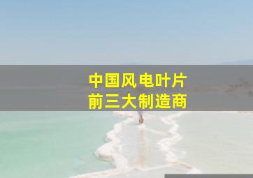 中国风电叶片前三大制造商